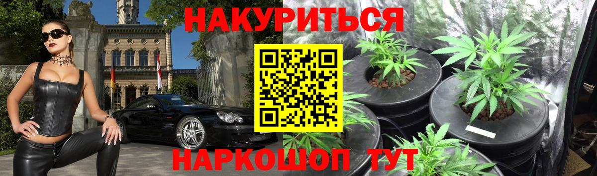 Ижевск  Шишки марихуана сатива  Каннабис конопля  Конопля Amnesia  Конопля марихуана  Вход с VPN 